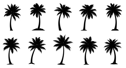 Fototapeta premium Collection of various palm tree silhouettes.