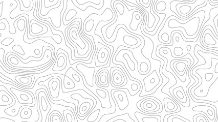 Obraz premium Topographic map pattern with thin grey contour lines on a white background representing elevation levels in a fluid organic shape arrangement that creates a repeating abstract geometric texture