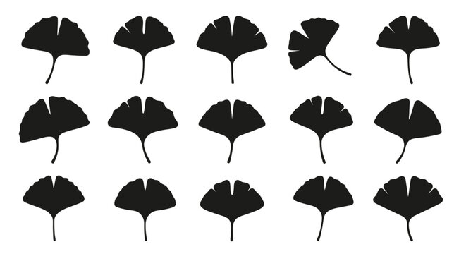 Collection of ginkgo biloba leaf silhouettes.