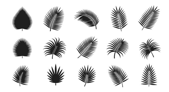 Collection of various leaf and feather illustrations.