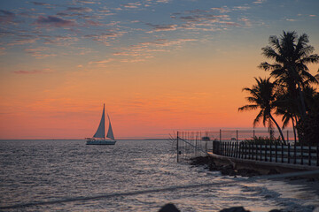 Boats and people walk along the seashore enjoying the natural sunset among palm trees and mangroves on a beach in the United States © angel
