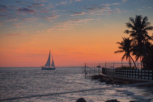 Boats and people walk along the seashore enjoying the natural sunset among palm trees and mangroves on a beach in the United States