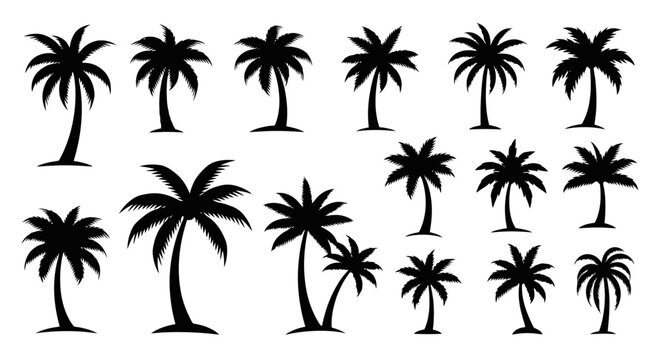 Collection of various palm tree silhouettes.