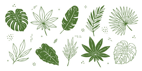 Whimsical hand drawn tropical doodle vector set with palm leaves, monstera and jungle foliage. Perfect botanical elements for summer design, branding and decoration © Irina Khovanskaya