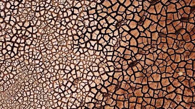 An eye-level shot of dry cracked land, evoking the environmental issue of drought 