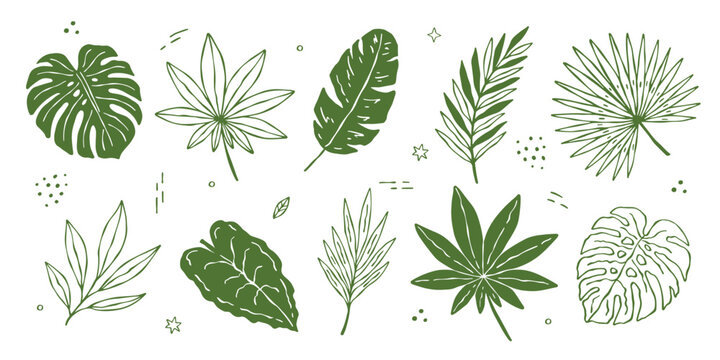 Whimsical hand drawn tropical doodle vector set with palm leaves, monstera and jungle foliage. Perfect botanical elements for summer design, branding and decoration