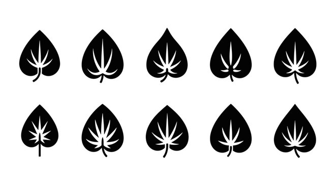 Black leaf icons with marijuana symbols.
