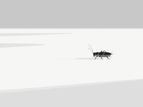Collection of household pests like cockroaches and centipedes on white stairs, minimalist flat vector illustration of insect infestation and pest control concept