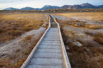 Obraz premium Boardwalk