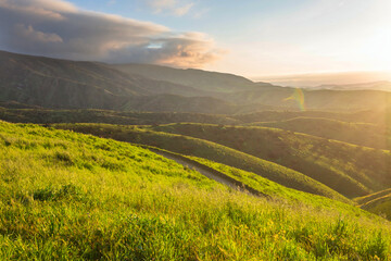 Obraz premium Green hills