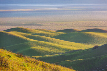 Obraz premium Green hills