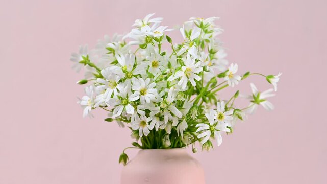 Video of white flowers in a vase