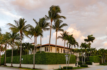 Fototapeta premium Private house in suburban area. Suburban house architecture. Suburb private exterior with palm tree. Suburban neighborhood. Private family cottage architecture. House exterior. Private life