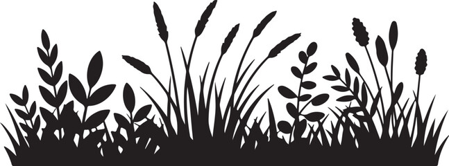 Fototapeta premium Wild grass silhouette border featuring meadow plants and floral stalks for nature landscape background or decorative garden scene.