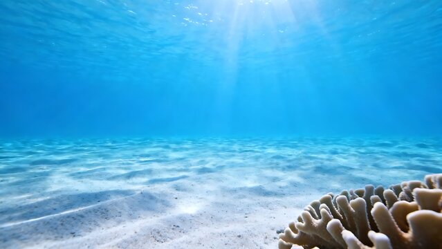Minimalist underwater view of sandy ocean floor with soft coral and bright surface light.