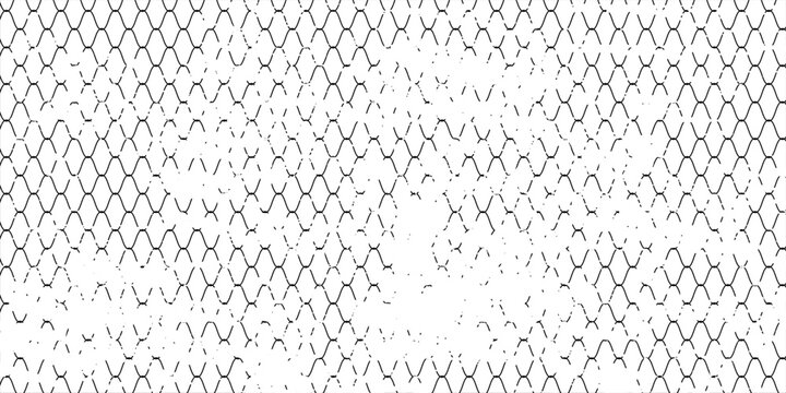 Black snake skin pattern isolated on white background eps 10