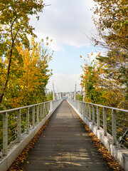 Obraz premium Pedestrian Suspension Bridge with White Railings and Golden Autumn Yellow Foliage Over the Han River in Seoul National Forest, South Korea