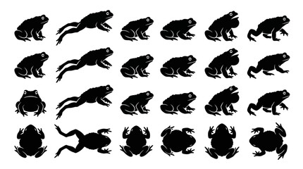 Obraz premium toad silhouettes in side and top view, solid black shapes, each in different poses such as sitting.
