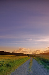 Obraz premium Sunset, field and landscape of road in nature for travel destination, roadtrip or natural environment. Sky mockup, evening or tarmac street in countryside for scenic route, getaway journey or horizon