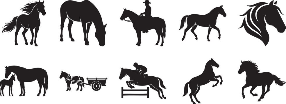 Elegant black horse silhouettes displaying various actions and equestrian themes