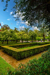 Obraz premium Well maintained formal garden with geometric trimmed hedges and lush trees in a park in Seville Spain. Peaceful green space with cloudy sky and classic landscaping.