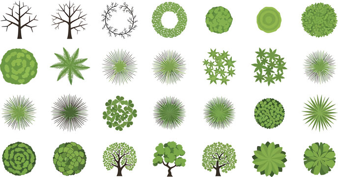 Set of various tree top view icons for architectural landscape design and urban planning site map projects