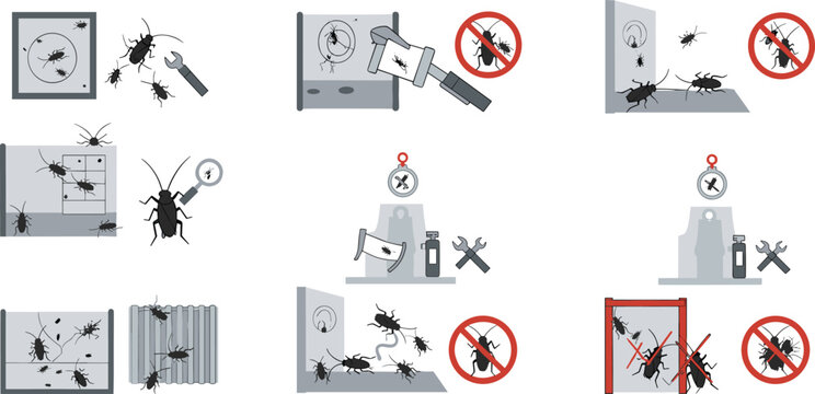 Pest control instructional vector set showing cockroach extermination methods professional sanitation services and household bug prevention icon collection.