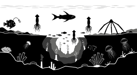 Underwater scene, ocean creatures, sea life vector, black and white illustration, marine biology © MITURANI