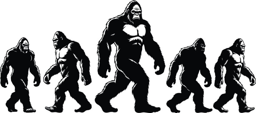  Bigfoot Evolution Silhouette Set for Mythical Creature and Evolution Illustrations