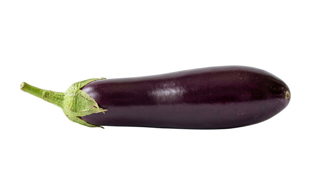 Ripe eggplant vegetable on transparent background high quality