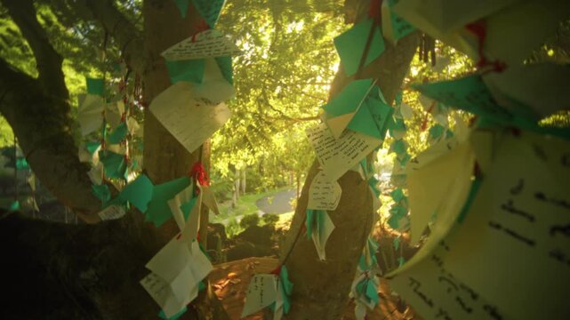 Sunlit notes tied to trees in peaceful setting, Intimate scene with handwritten wishes and dappled light