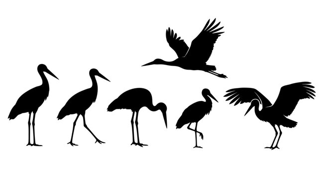 stork silhouettes in side view, solid black shapes, each in different poses such as standing.