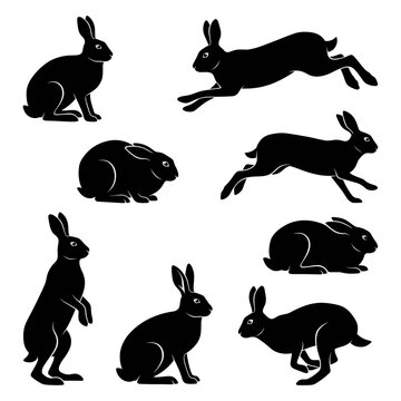 Black and white vector silhouette set of Arctic Hare.