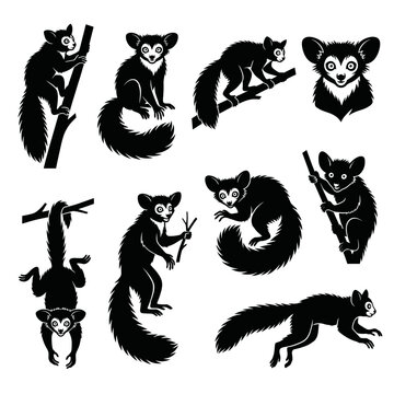 Black and white vector silhouette set of Aye aye lemur