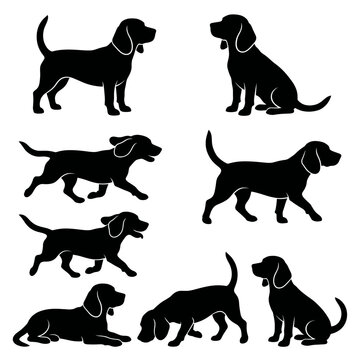 Black and white vector silhouette set of Bagle Basset Hound