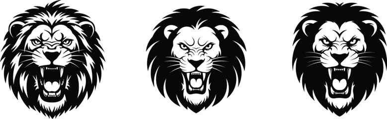 Obraz premium Silhouette of three fierce lion heads in black and white vector illustration .