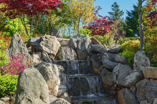 Water cascades down the rocky steps in the lush garden. Bright green and red leaves frame the landscape. Sunlight highlights the texture of wet stone.  Landscape design. Park