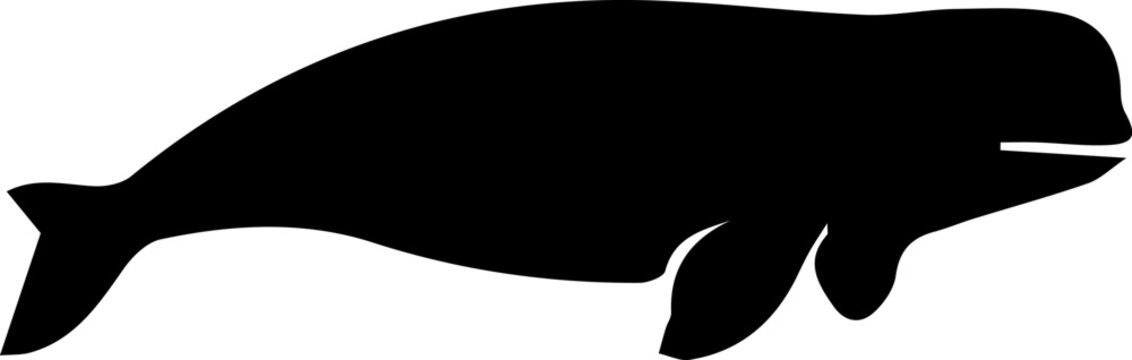 Beluga whale silhouette black vector illustration