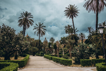 Fototapeta premium Palm trees and tropical garden in Palermo Sicily Italy with Mediterranean landscape and cloudy sky