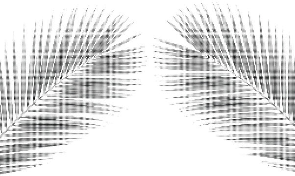 Palm leaf halftone pattern on transparent background vector illustration decorative element for summer design.