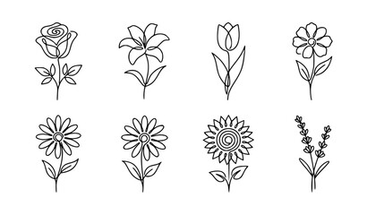 Minimalist black and white botanical leaves and branches vector illustration set clean line art outline simple minimalist drawing of fern olive and monstera © Mdsahag