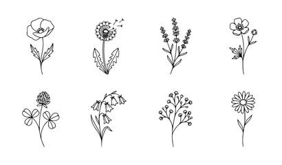 Minimalist black and white tropical leaves vector illustration set 8 items clean line art outline simple minimalist drawing of monstera palm and eucalyptus © Mdsahag