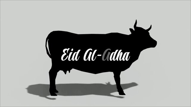 Cow silhouette with eid al adha text animation on grey background