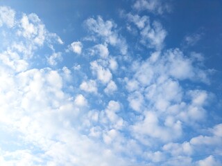 Fototapeta premium 晴天の空に浮かぶ幻想的なうろこ雲の自然風景