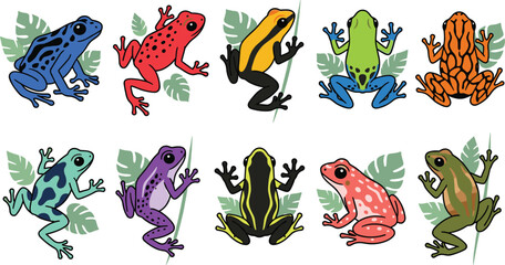 Obraz premium Collection of colorful poison dart frogs in various patterns and poses with tropical leaf accents.