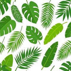Pattern of lush green tropical leaves on white © Arlida
