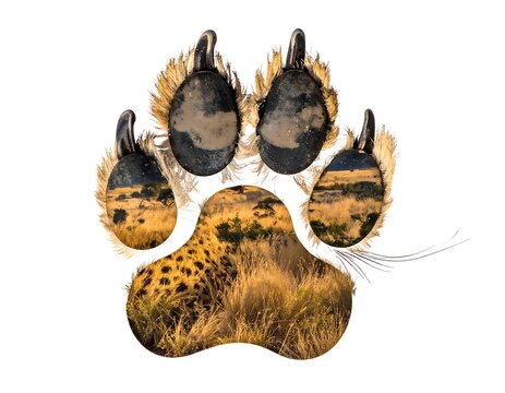 Paw print overlaid with savanna landscape