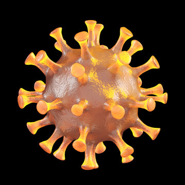 Hantavirus 2026. Andes virus close up