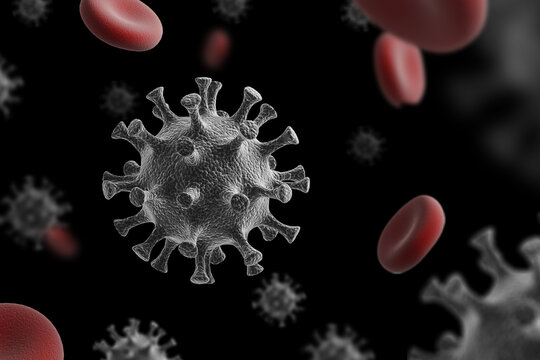 Hantavirus 2026. Andes virus close up
