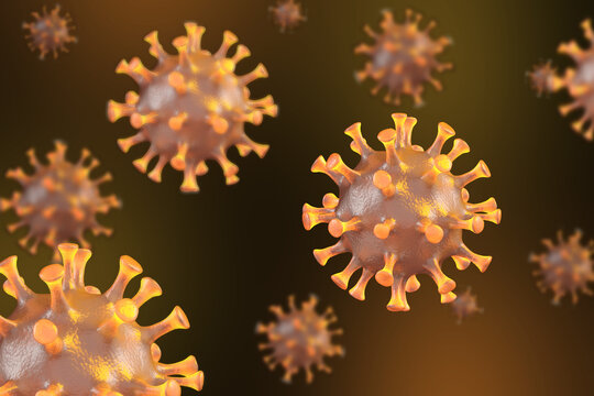 Hantavirus 2026. Andes virus close up